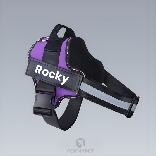 Arnés Personalizado