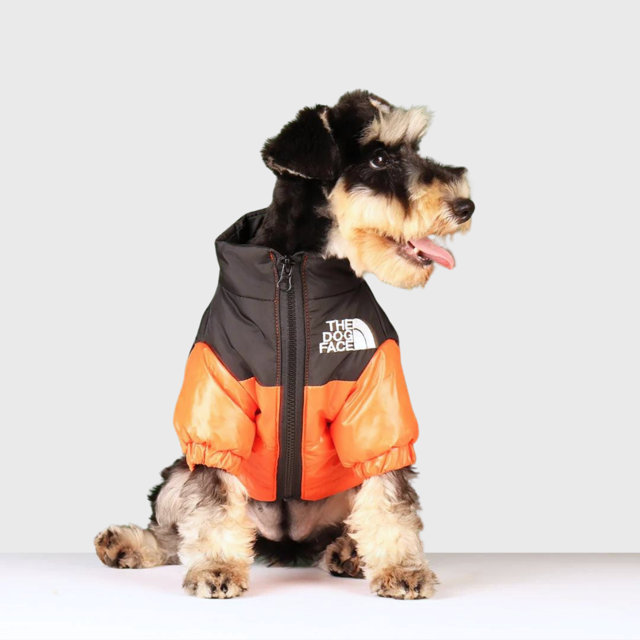 Abrigo para Perros TheDogFace