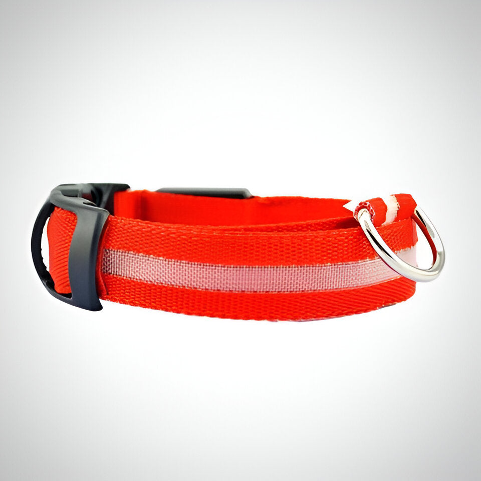Collar Luminoso para Perros