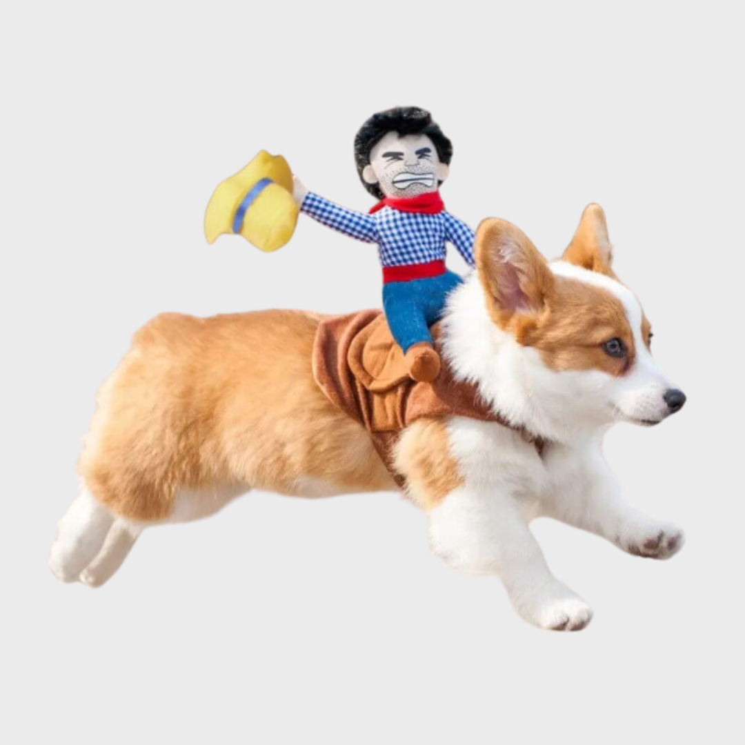 Disfraz Vaquero