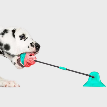 Juguete para Masticar para Perros Grandes