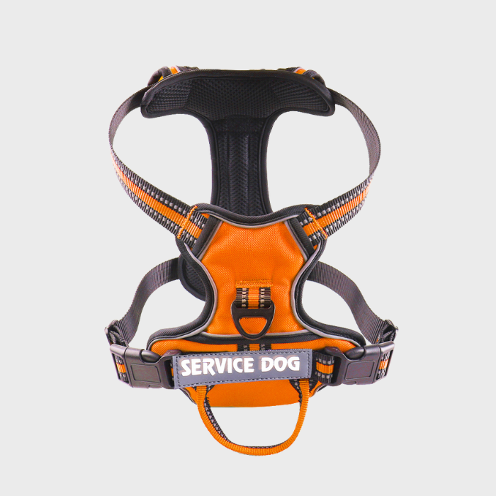 Arnés Personalizado en Y