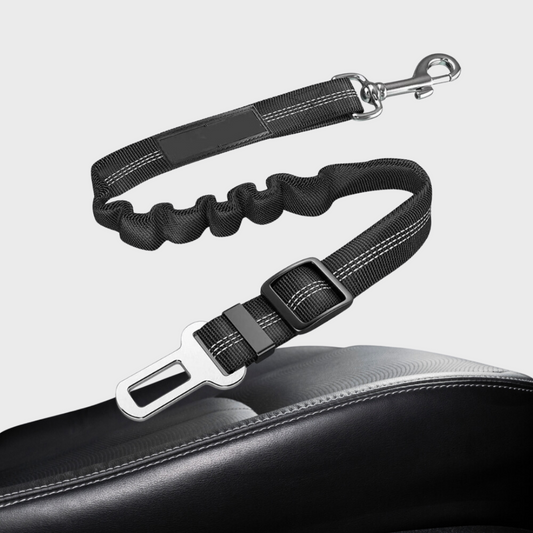 Cinturón de Seguridad de Coches para Perros