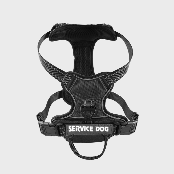 Arnés Personalizado en Y