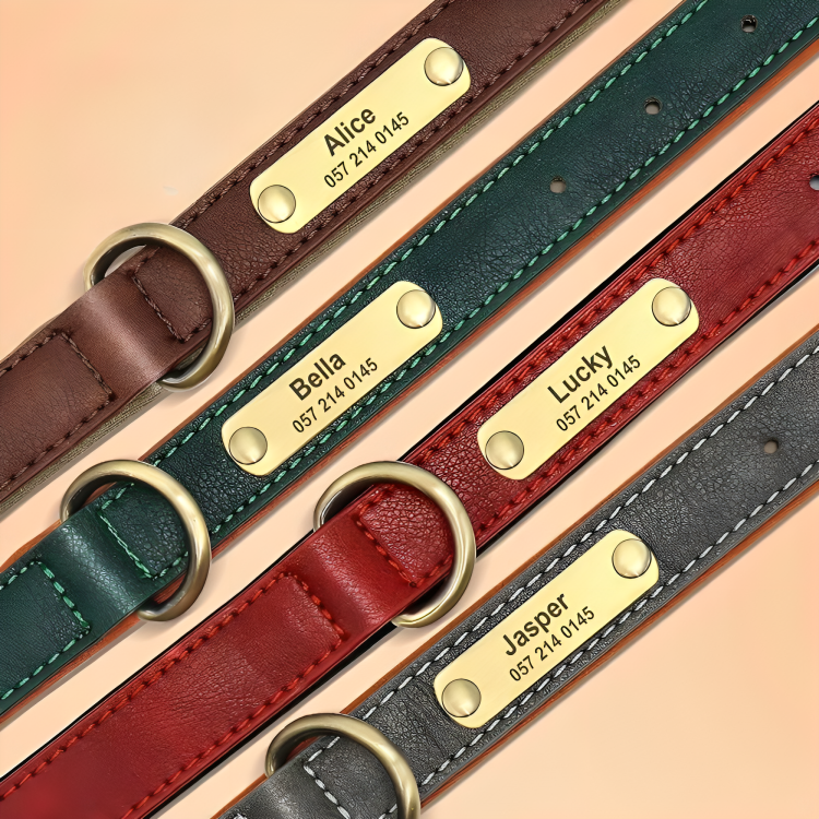 Collar de Cuero Personalizado para Perros