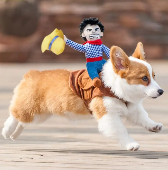 Disfraz Vaquero