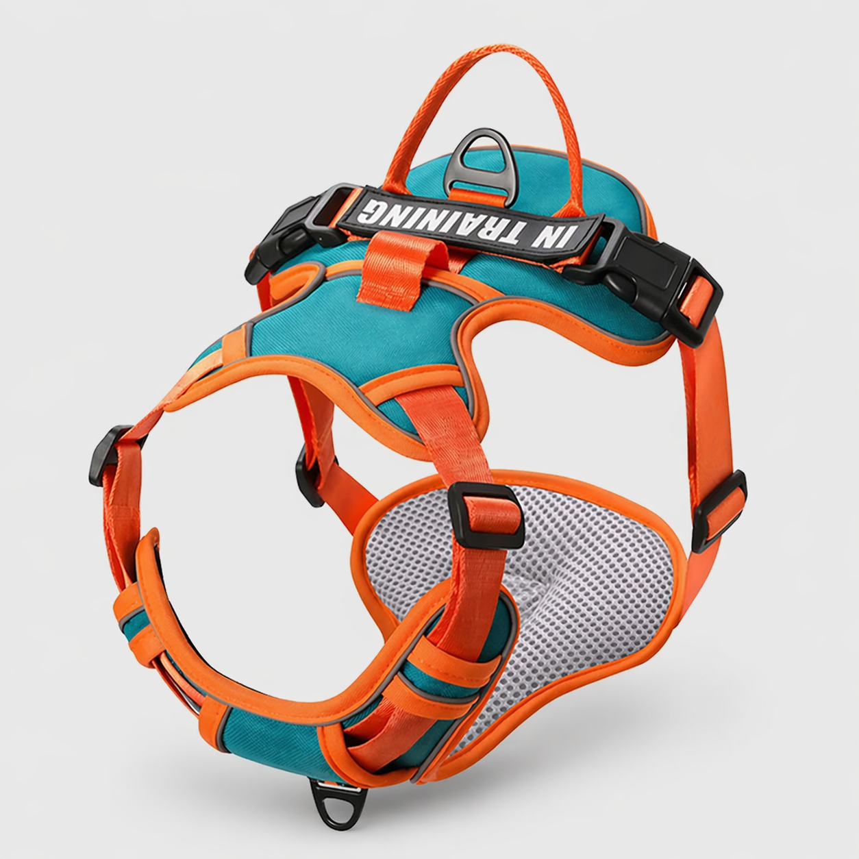 Arnés Personalizado FunPaw™