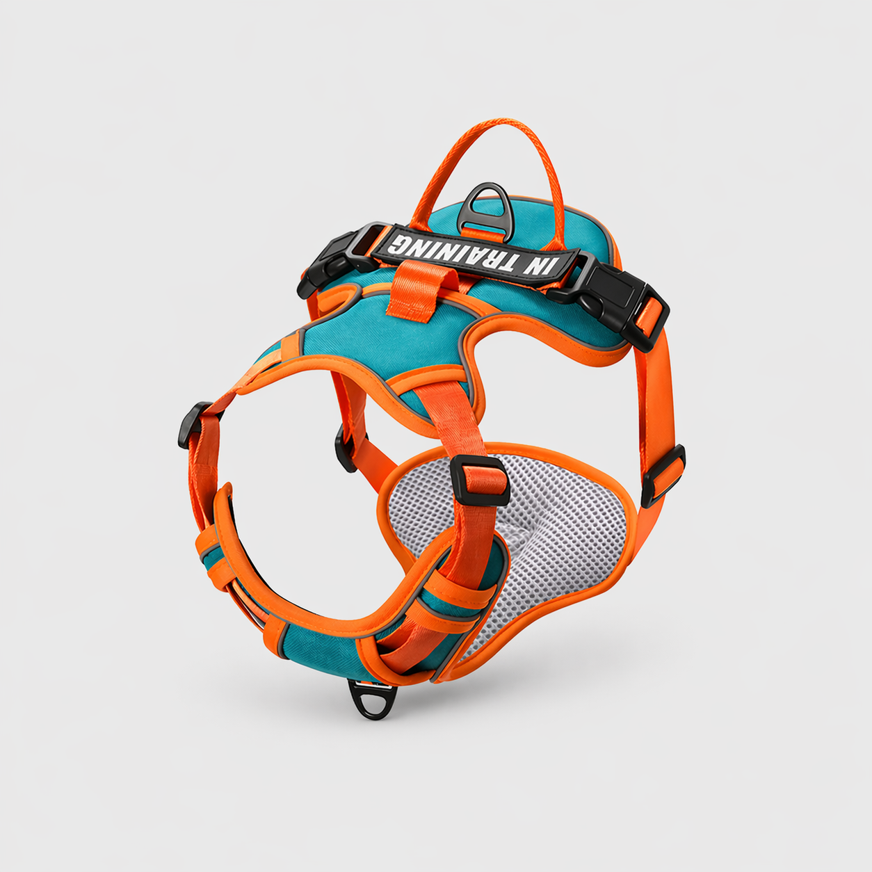 Arnés Personalizado FunPaw™