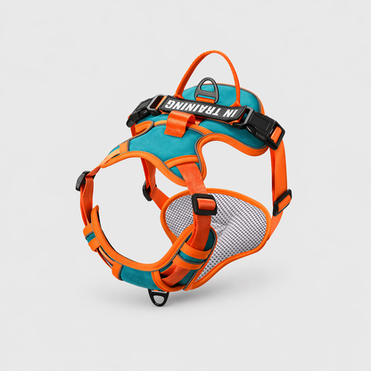 Arnés Personalizado FunPaw™