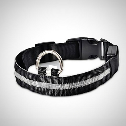 Collar Luminoso para Perros