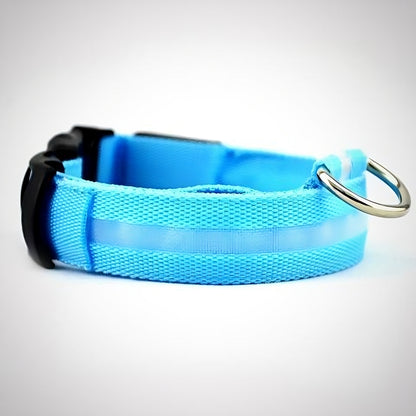 Collar Luminoso para Perros