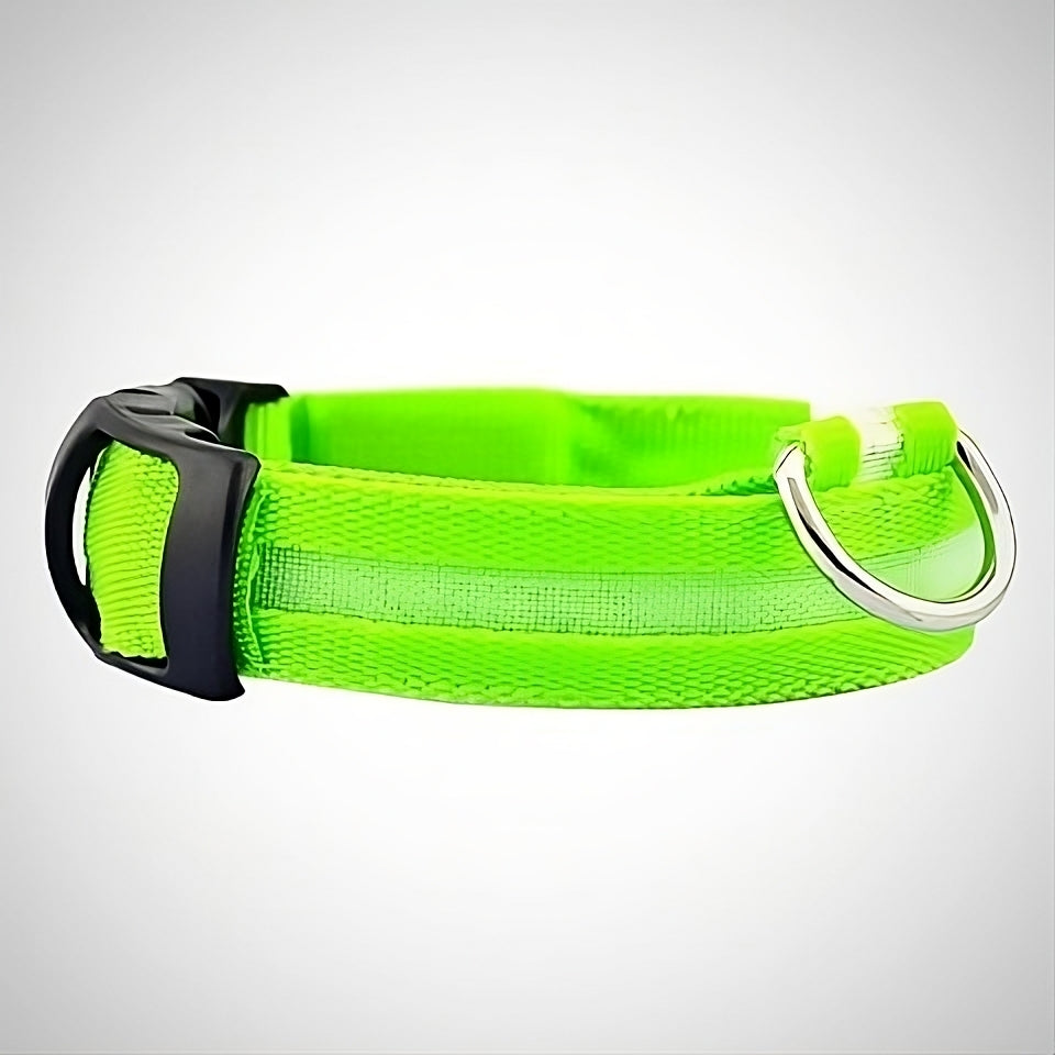 Collar Luminoso para Perros