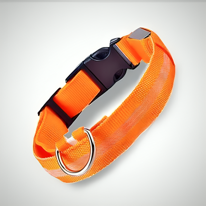 Collar Luminoso para Perros