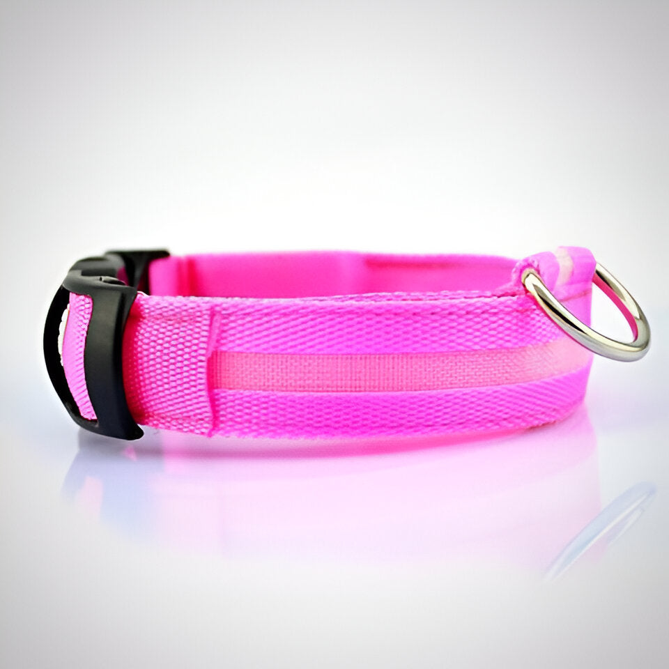 Collar Luminoso para Perros