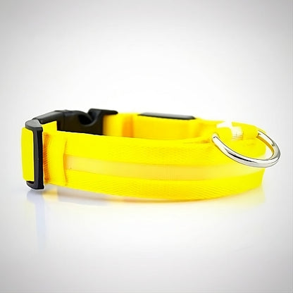 Collar Luminoso para Perros