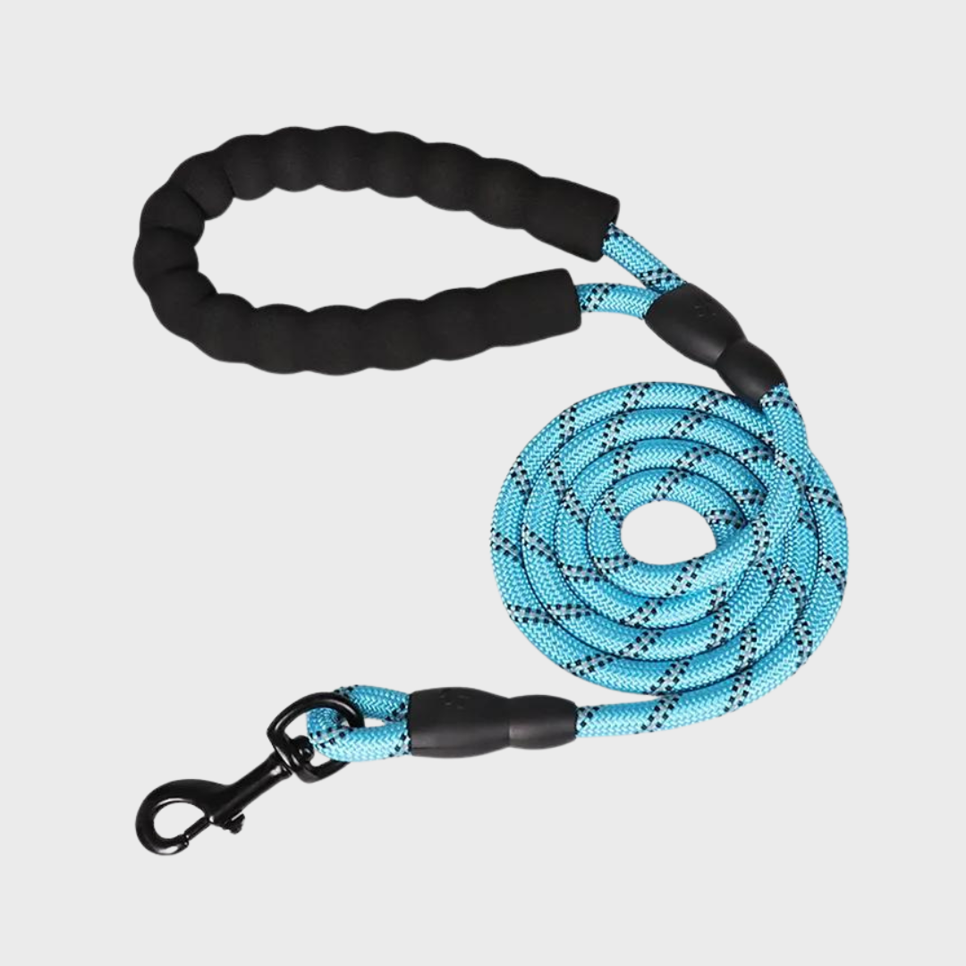 Correa para Perros Resistente y Reflectante