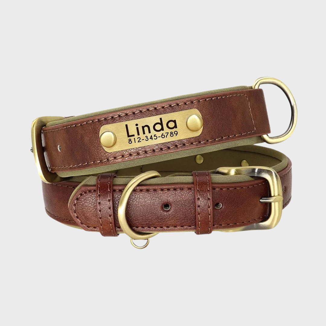 Collar de Cuero Personalizado para Perros