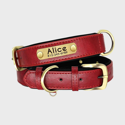 Collar de Cuero Personalizado para Perros