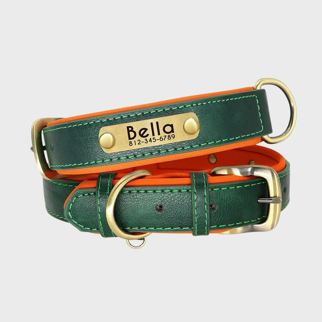 Collar de Cuero Personalizado para Perros