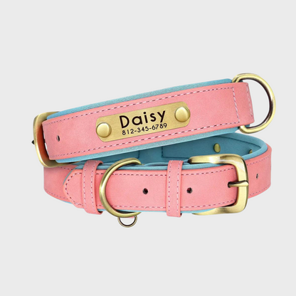 Collar de Cuero Personalizado para Perros
