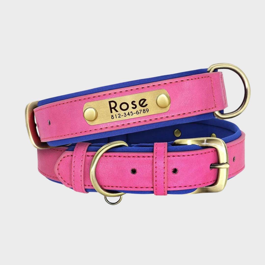 Collar de Cuero Personalizado para Perros