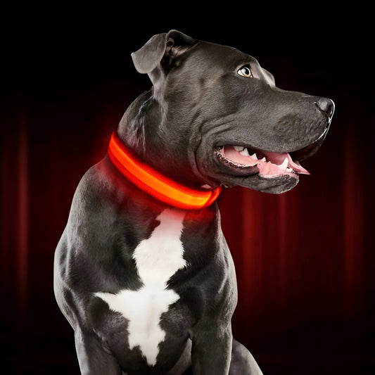 Collar Luminoso para Perros