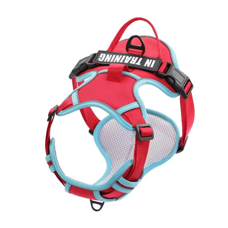 Arnés Personalizado FunPaw™