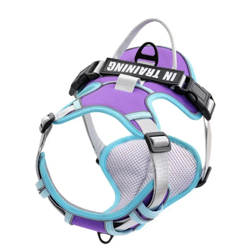 Arnés Personalizado FunPaw™