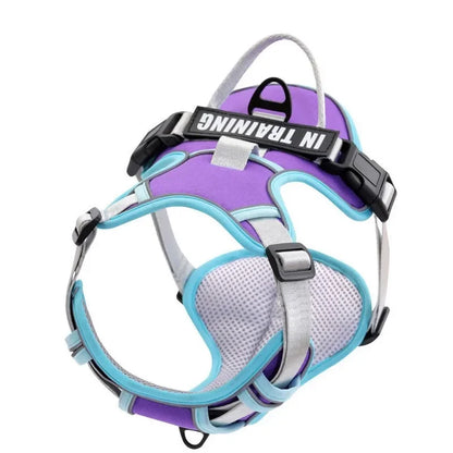 Arnés Personalizado FunPaw™