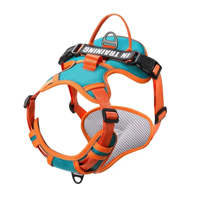 Arnés Personalizado FunPaw™