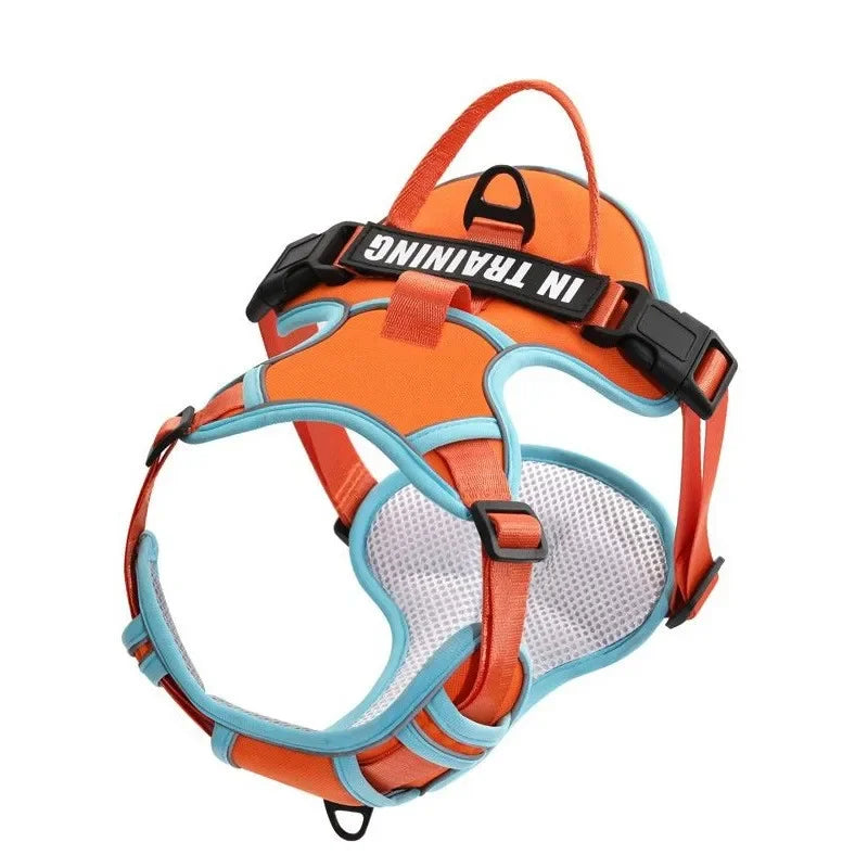 Arnés Personalizado FunPaw™