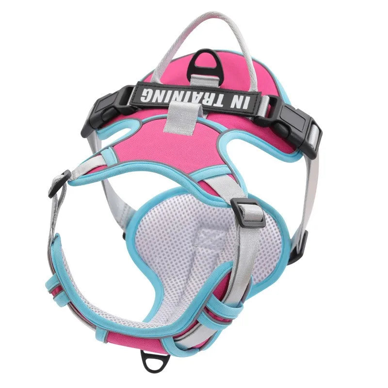 Arnés Personalizado FunPaw™