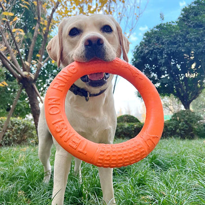 Disco Volador para Perros