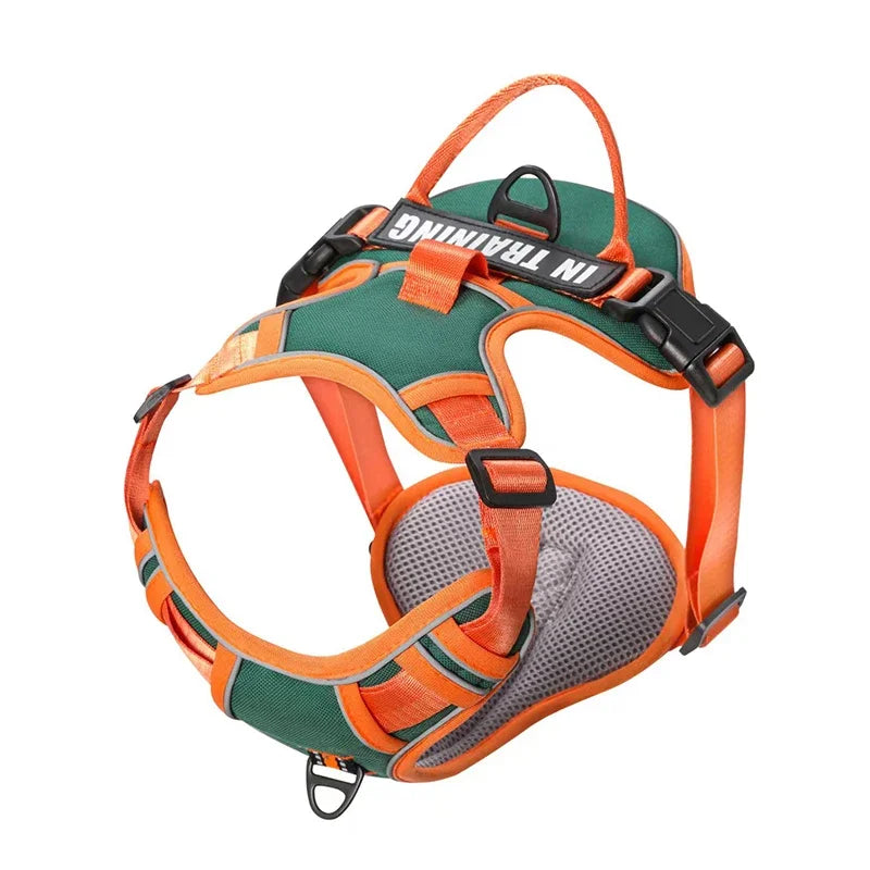 Arnés Personalizado FunPaw™